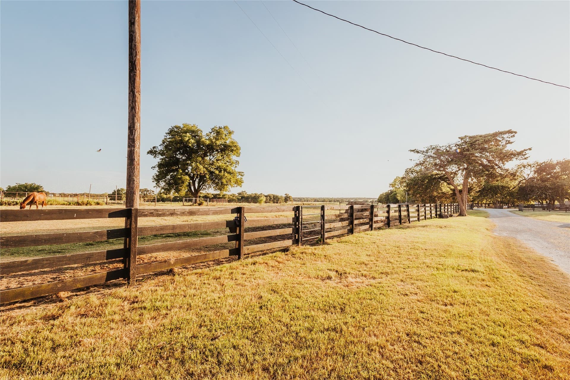 14 acres in Hill County - photo 22
