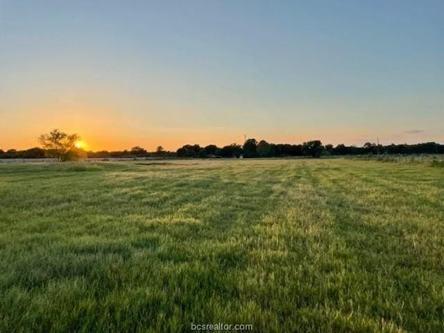 78.96 acres in Milam County - photo 11