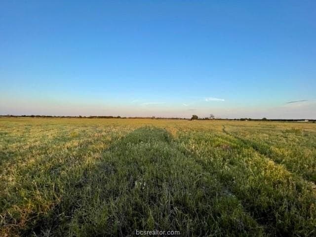 78.96 acres in Milam County - photo 8