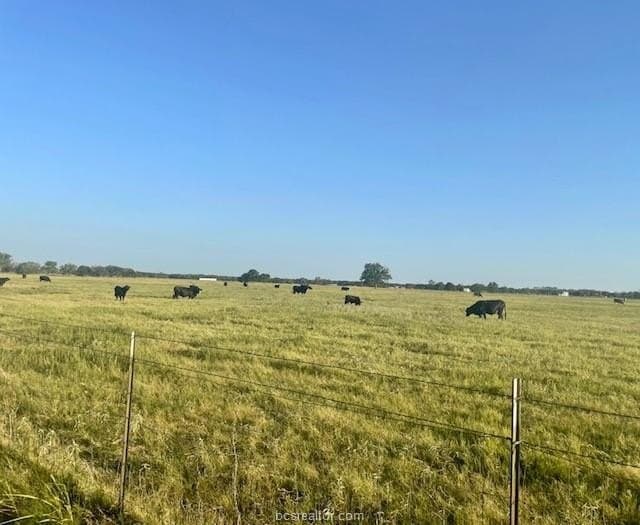 78.96 acres in Milam County gallery image 4