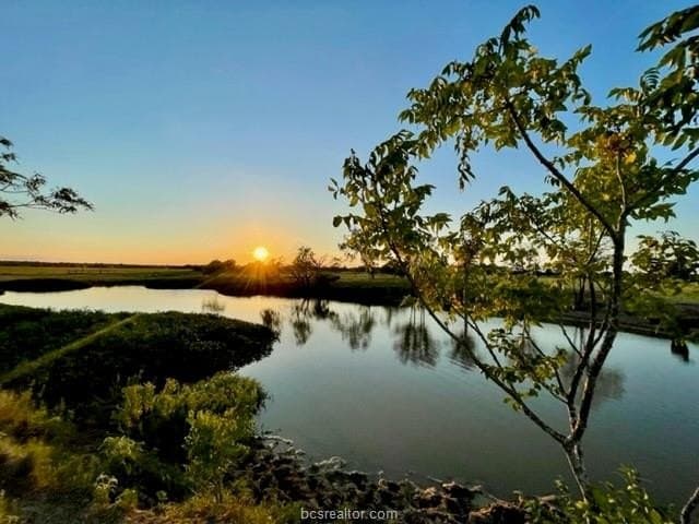 78.96 acres in Milam County gallery image 3