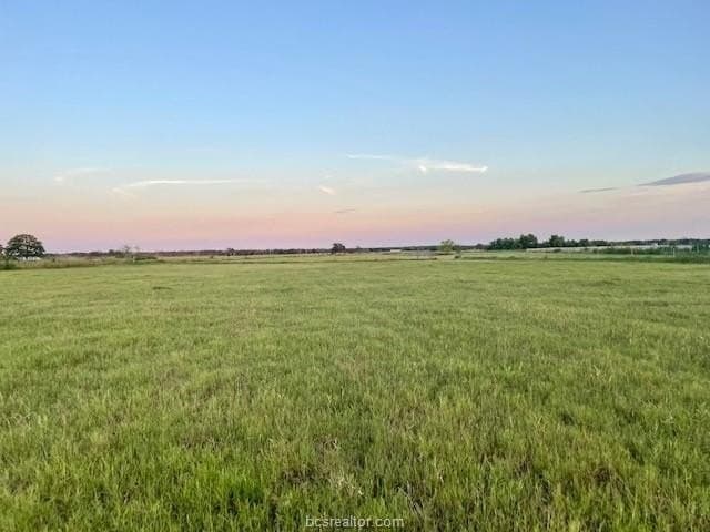 78.96 acres in Milam County - photo 14