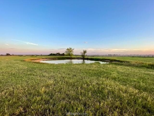 78.96 acres in Milam County - photo 12