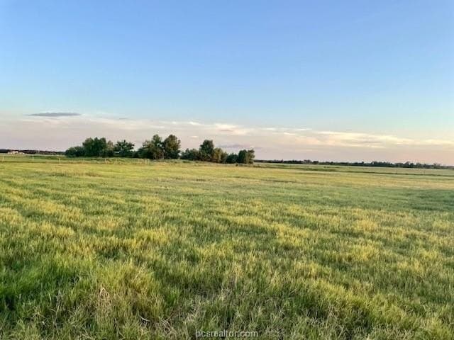 78.96 acres in Milam County - photo 10