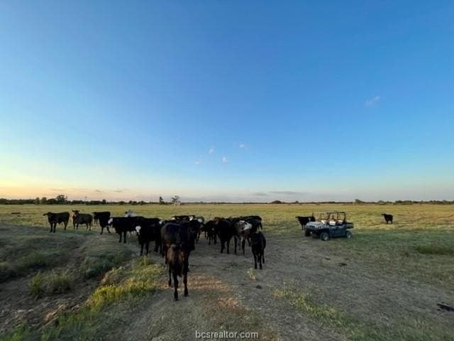 78.96 acres in Milam County - photo 7