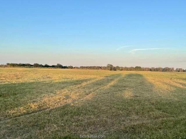 78.96 acres in Milam County - photo 9