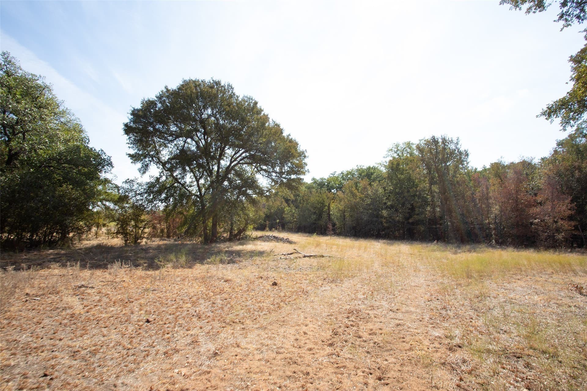 39.98 acres in Young County - photo 39