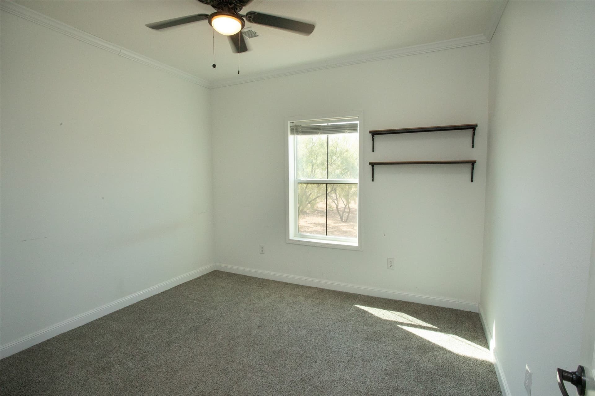 39.98 acres in Young County - photo 9