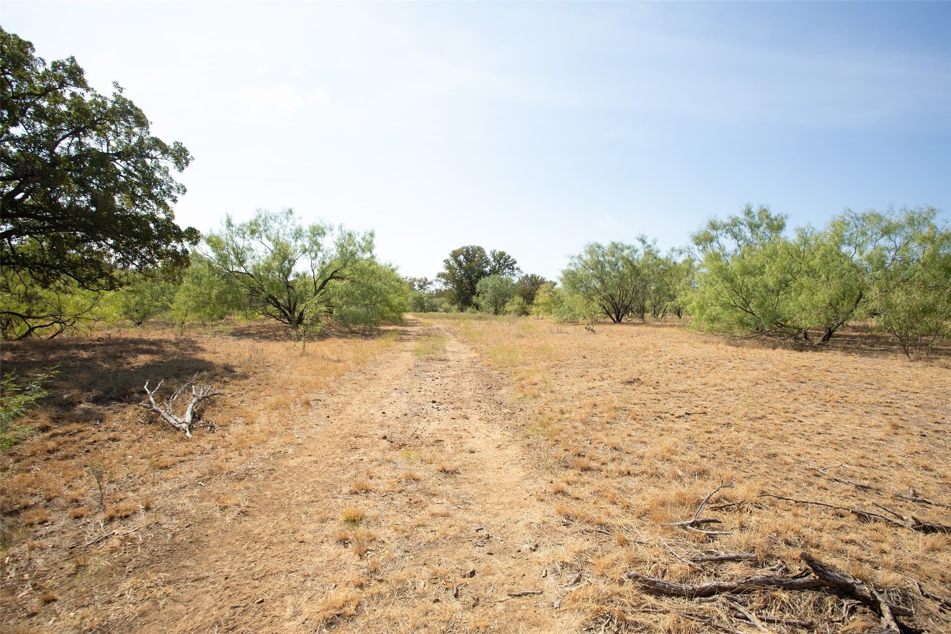 39.98 acres in Young County - photo 38