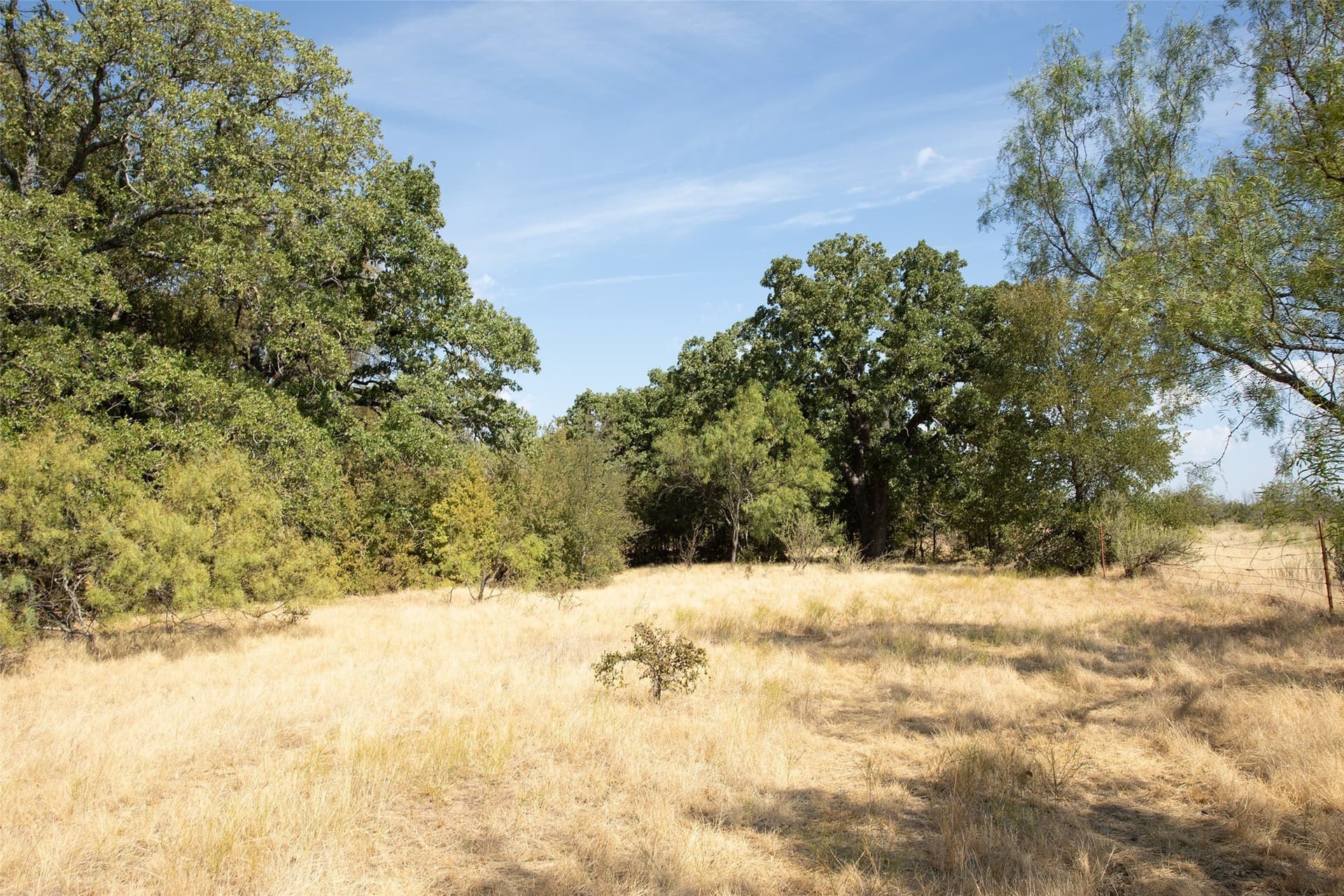 39.98 acres in Young County - photo 40