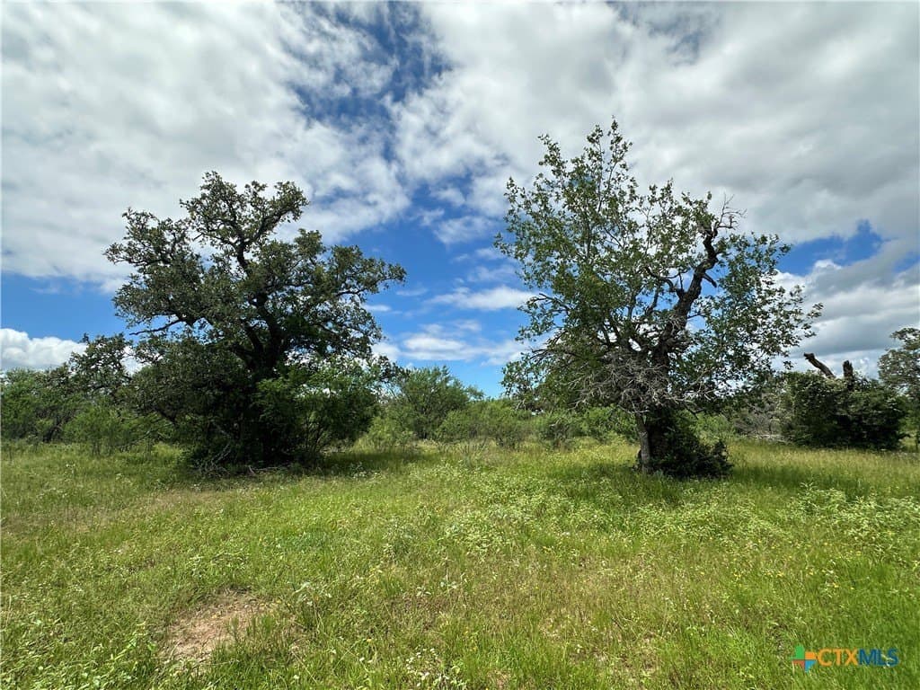 23.71 acres in Victoria County gallery image 2