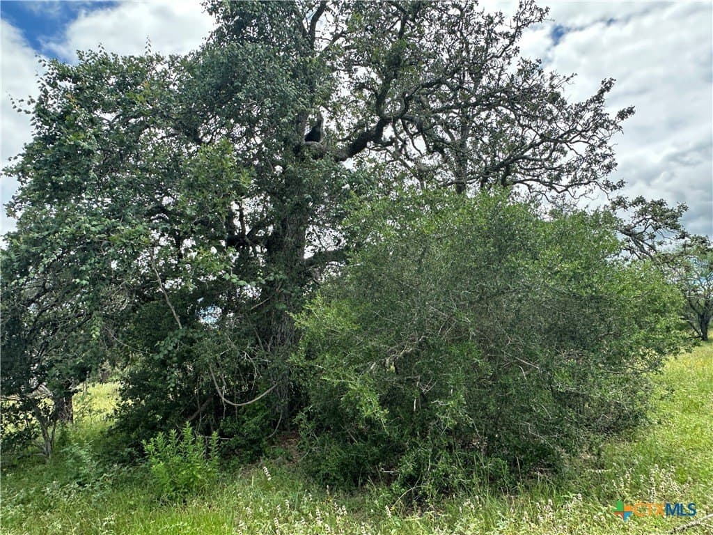 23.71 acres in Victoria County - photo 7