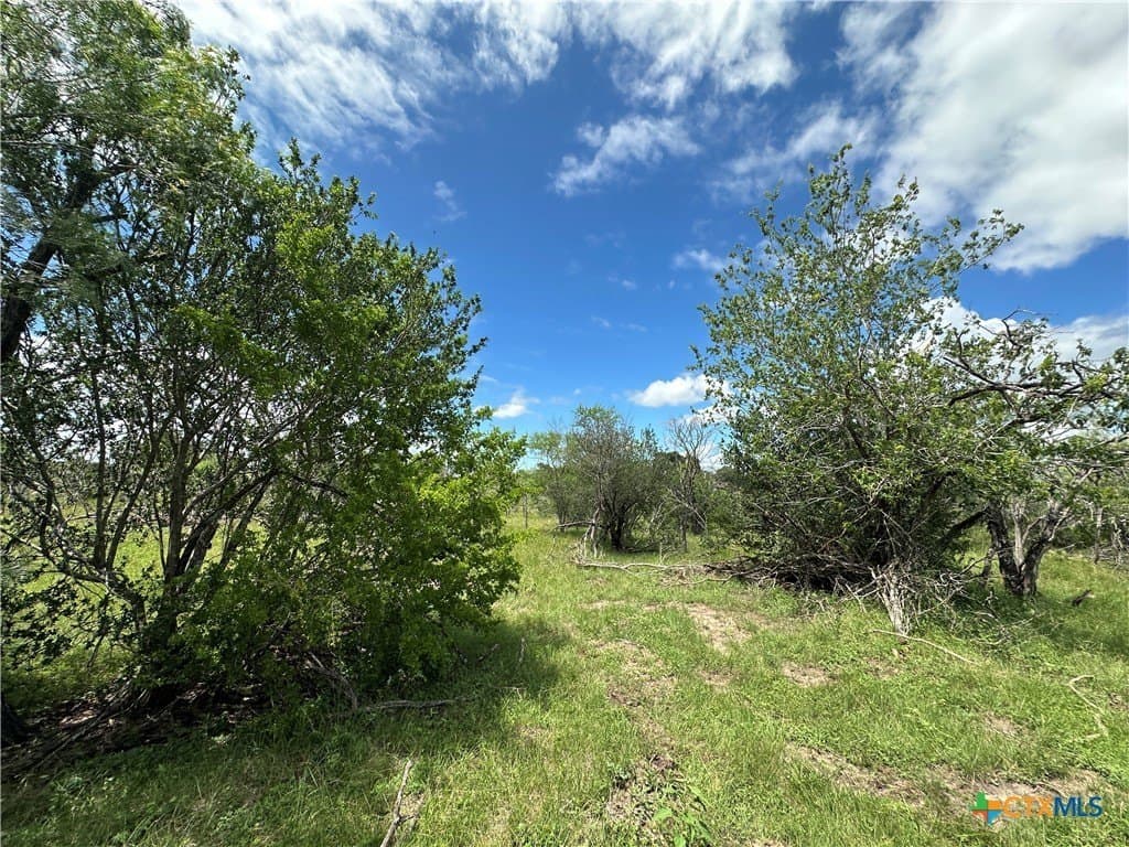23.71 acres in Victoria County gallery image 4
