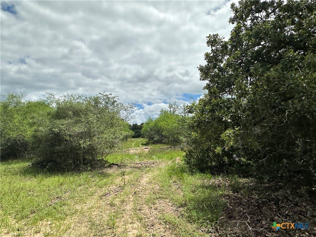 23.71 acres in Victoria County - photo 8