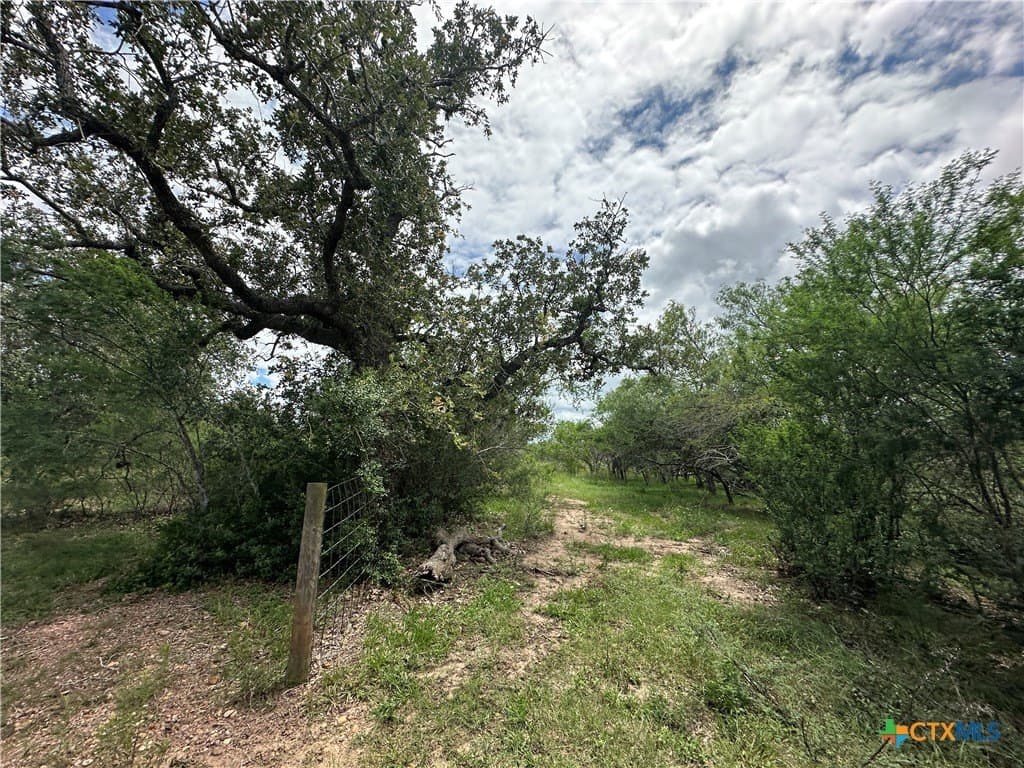 23.71 acres in Victoria County featured view