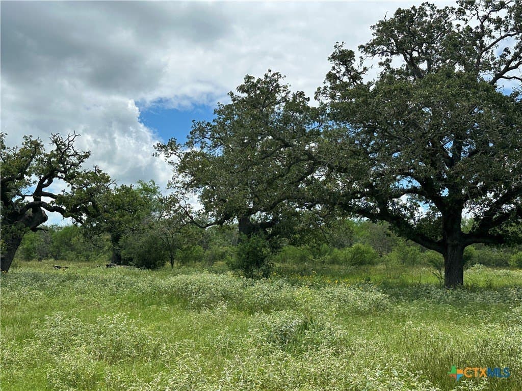 23.71 acres in Victoria County gallery image 3
