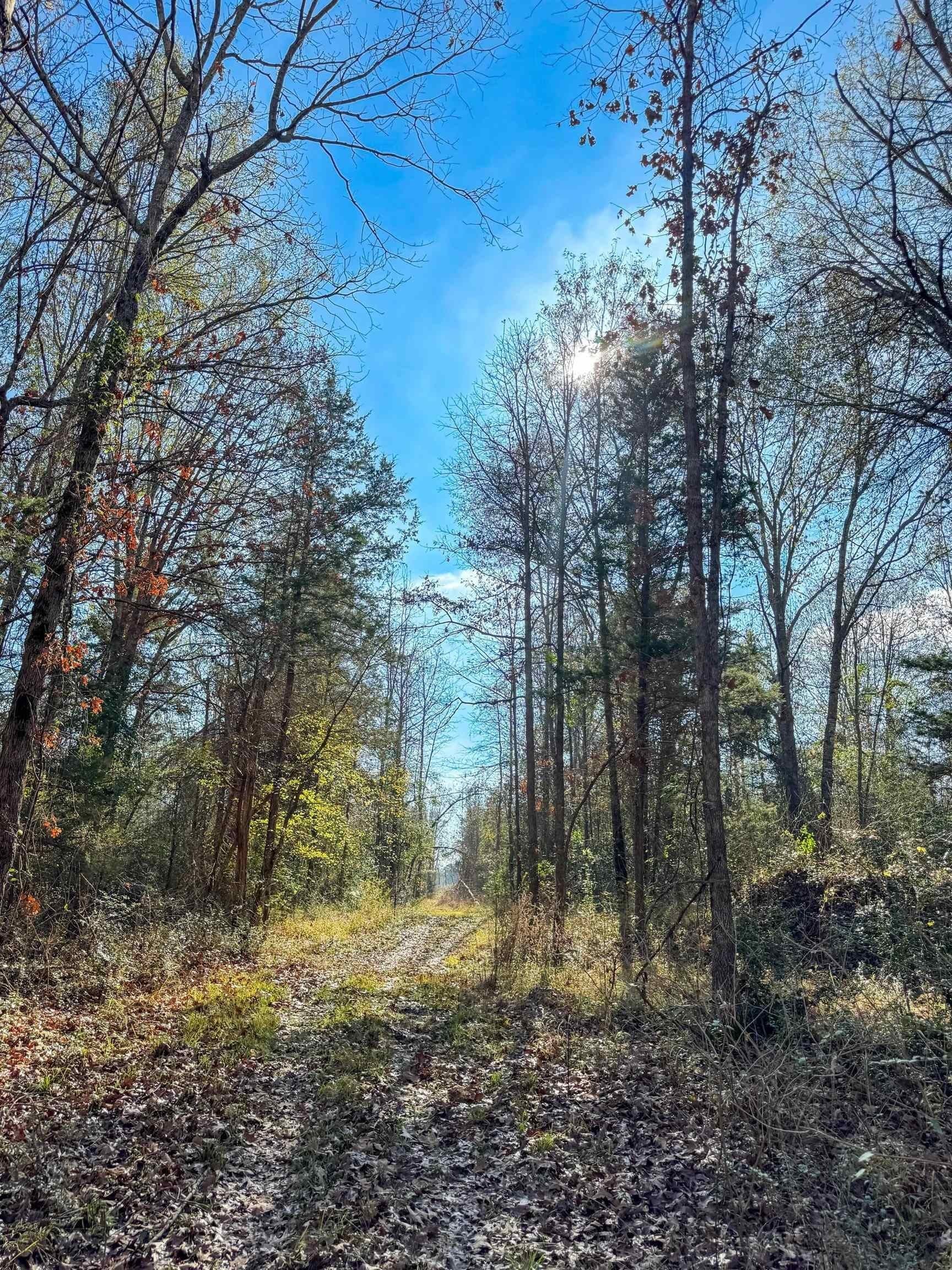 13.66 acres in Cass County - photo 7