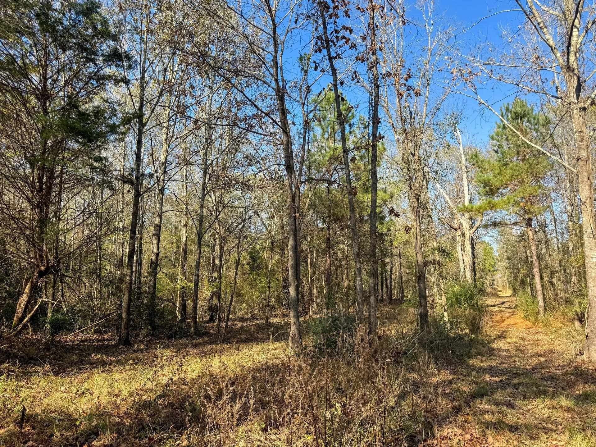 13.66 acres in Cass County - photo 8
