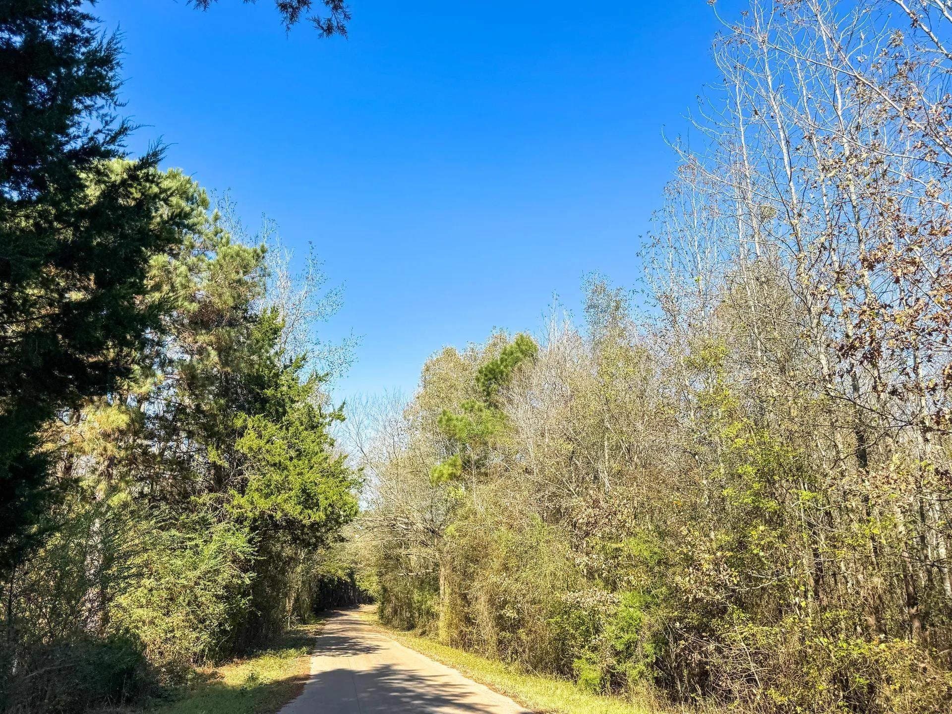 13.66 acres in Cass County - photo 15
