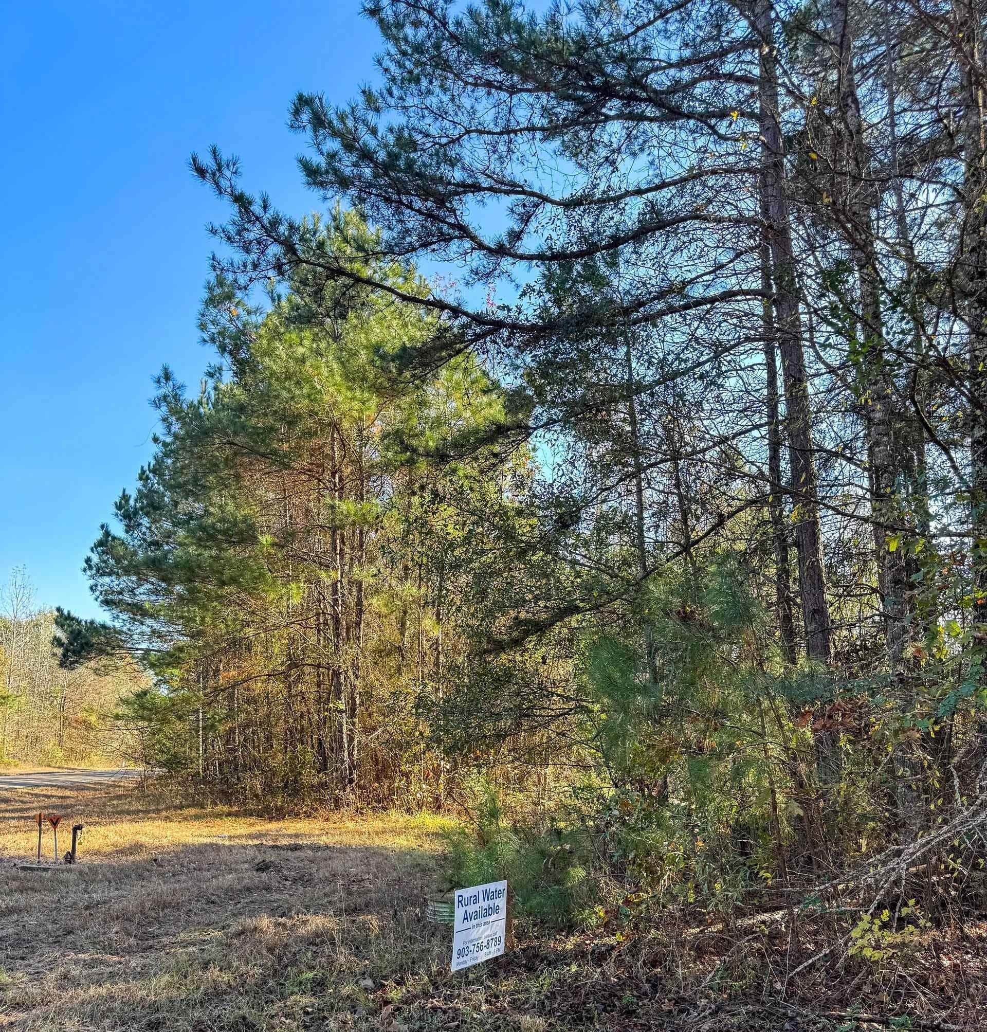 13.66 acres in Cass County - photo 13