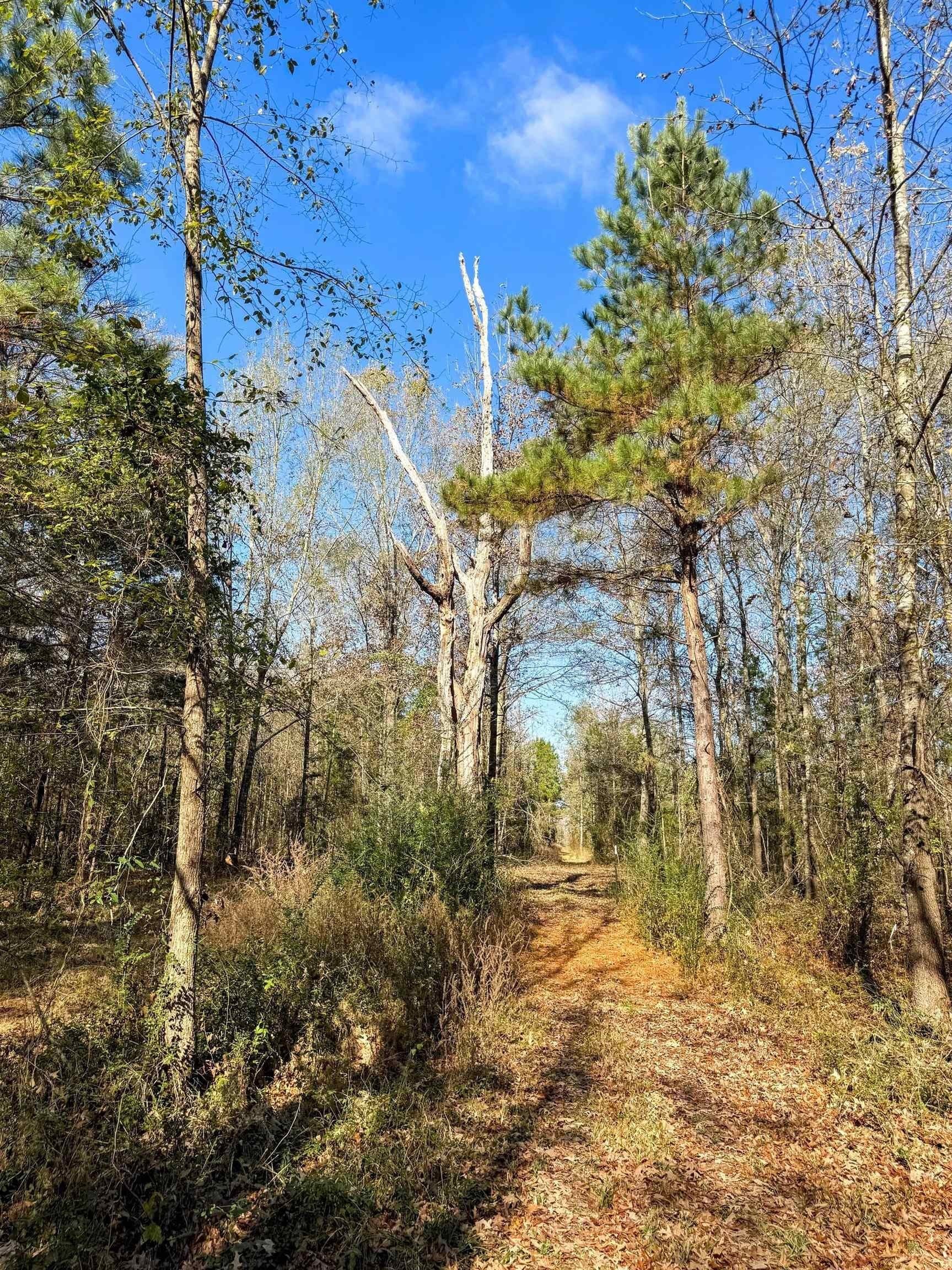 13.66 acres in Cass County - photo 10
