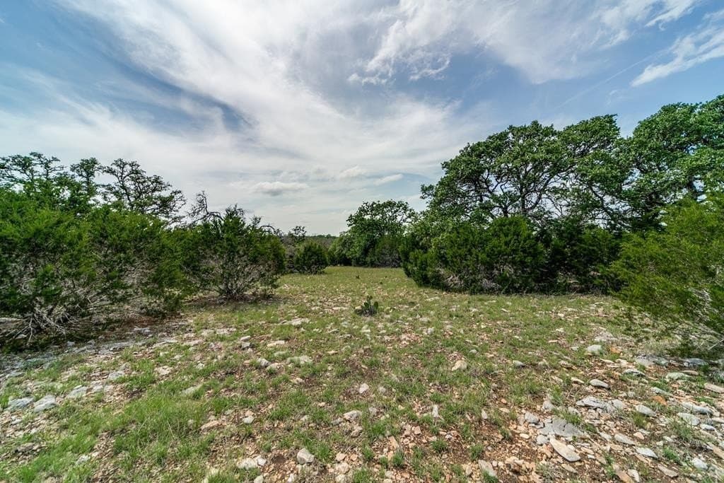 32 acres in Gillespie County gallery image 3