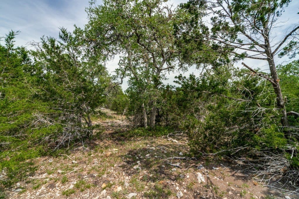 32 acres in Gillespie County gallery image 4