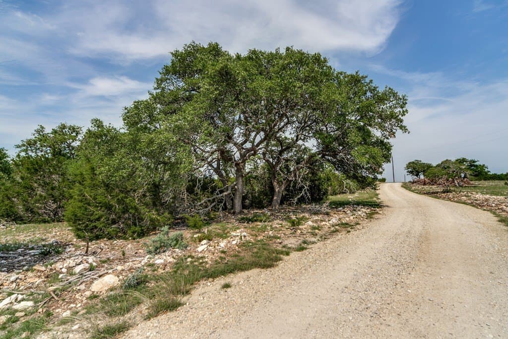 32 acres in Gillespie County gallery image 2