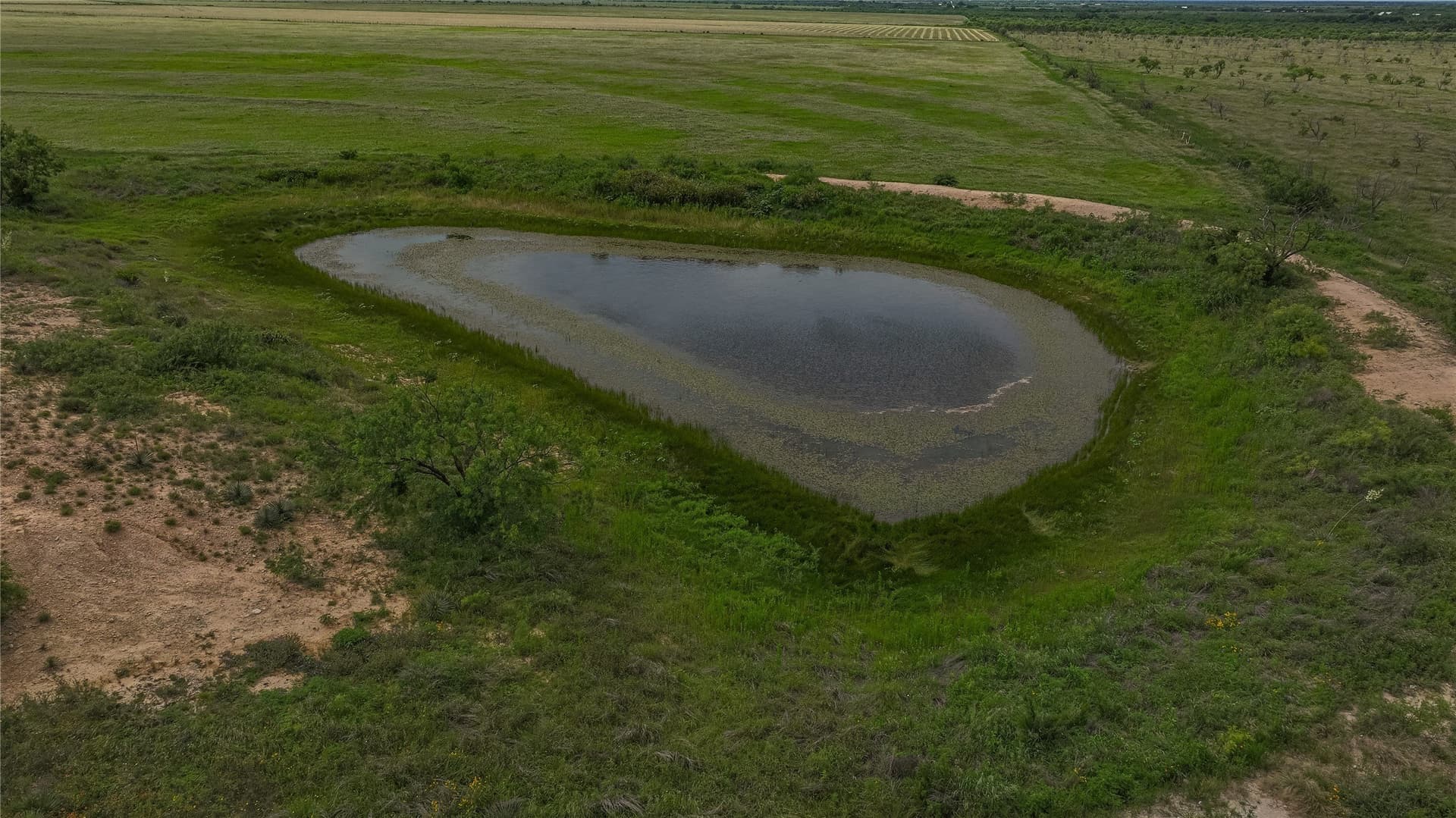 283.98 acres in McCulloch County - photo 7