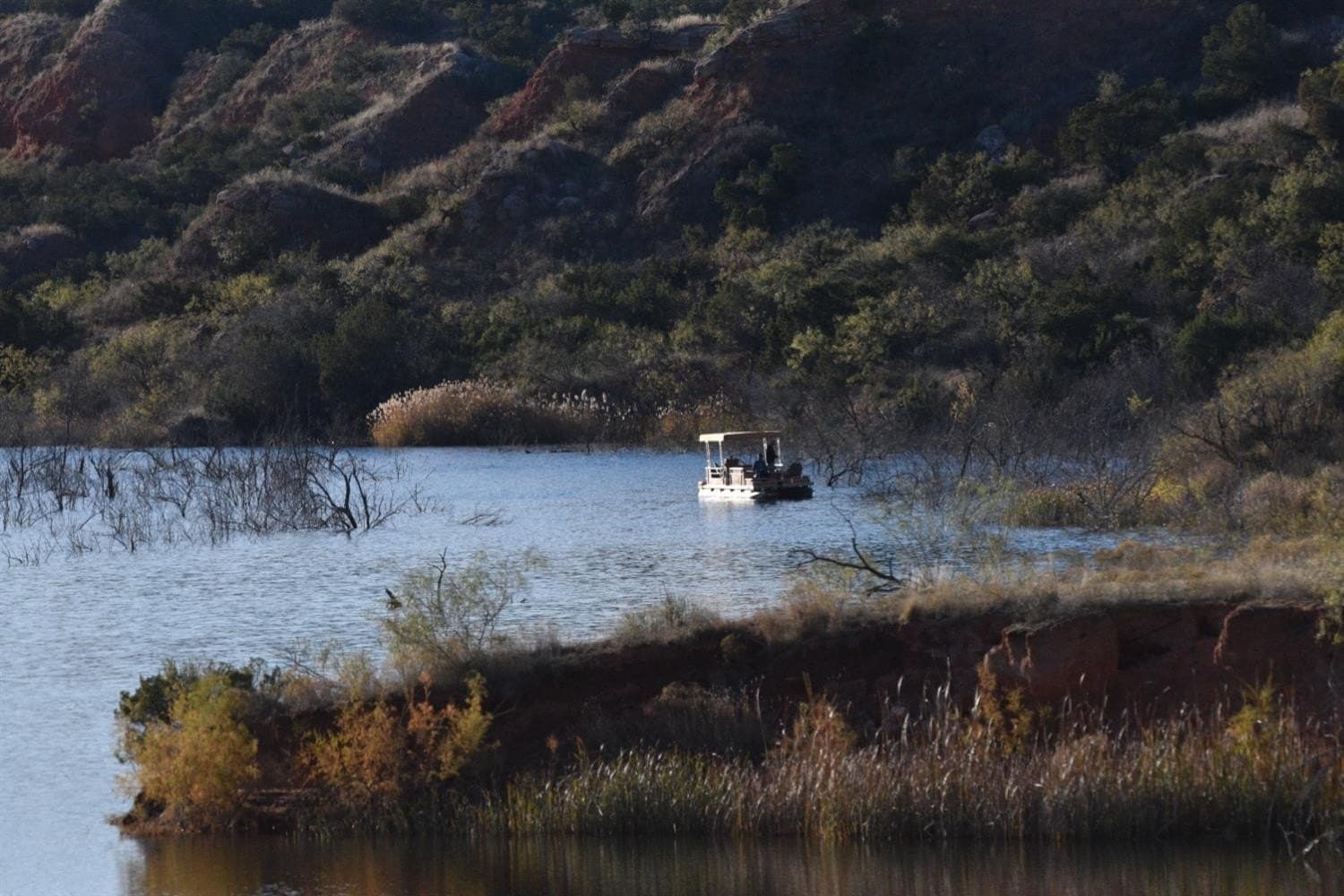 9,586 acres in Briscoe County gallery image 4