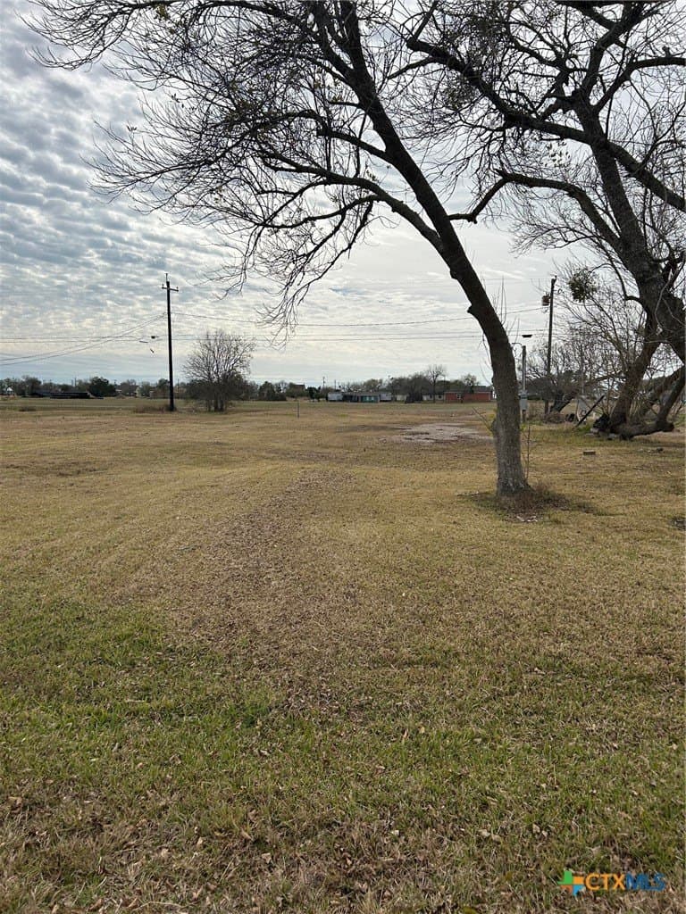 0.33 acres in Calhoun County gallery image 2