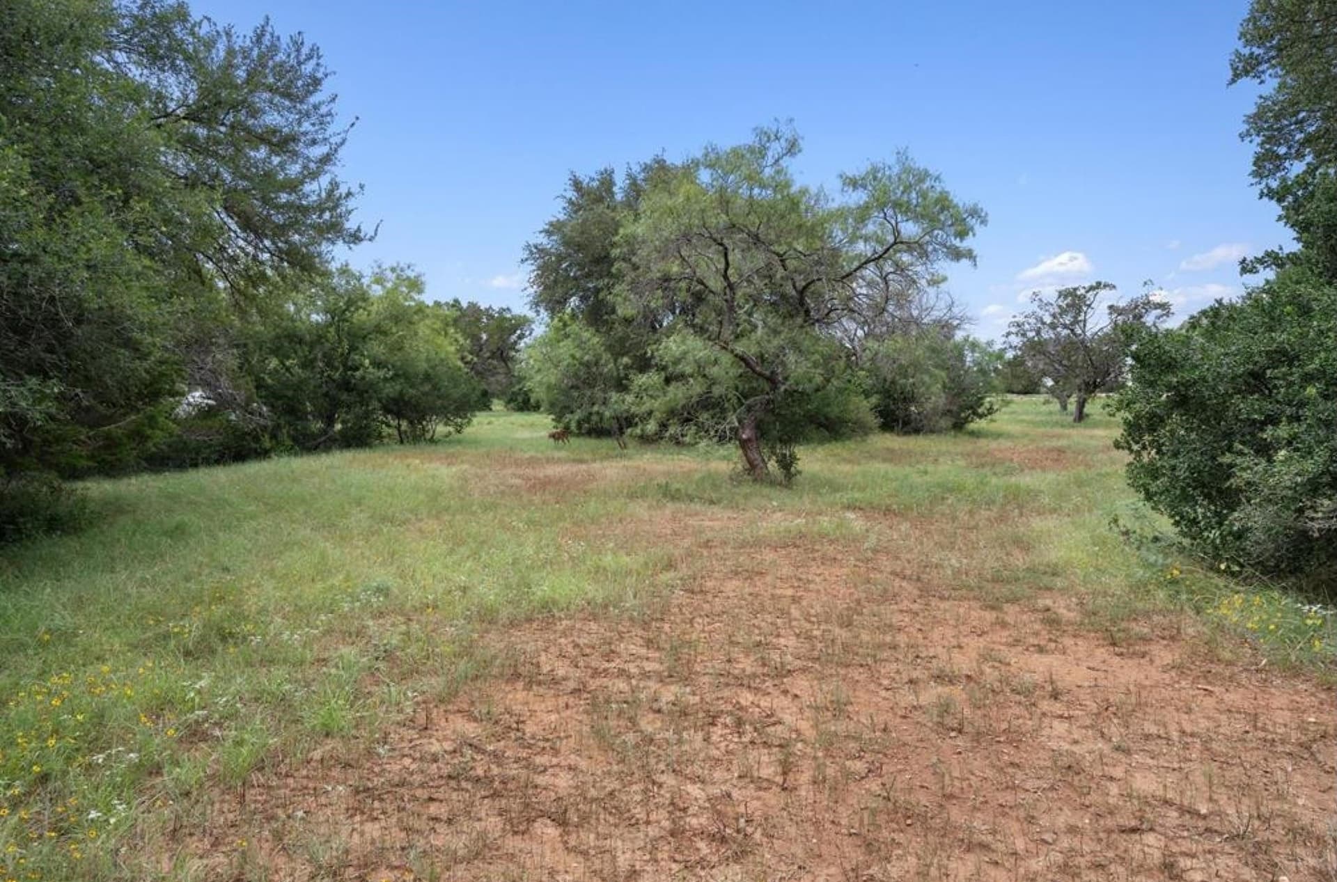 0.36 acres in Llano County - photo 6