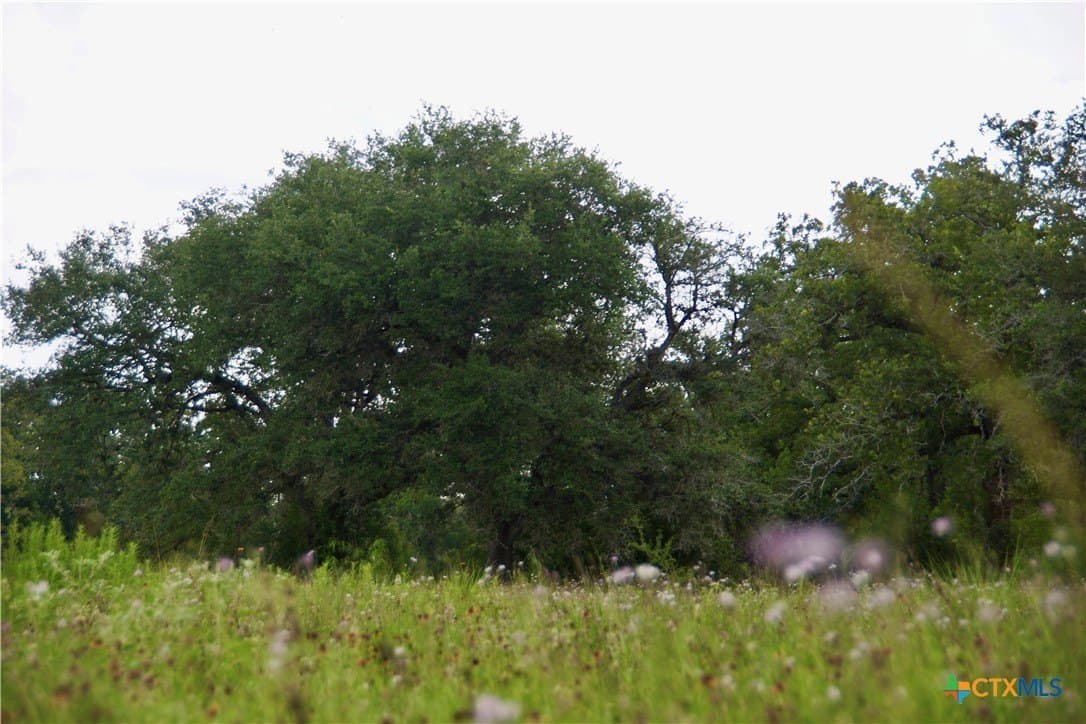 36.95 acres in Goliad County - photo 10
