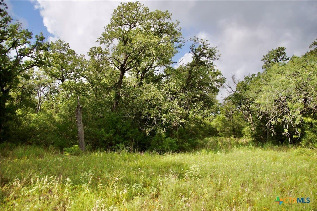 36.95 acres in Goliad County - photo 17