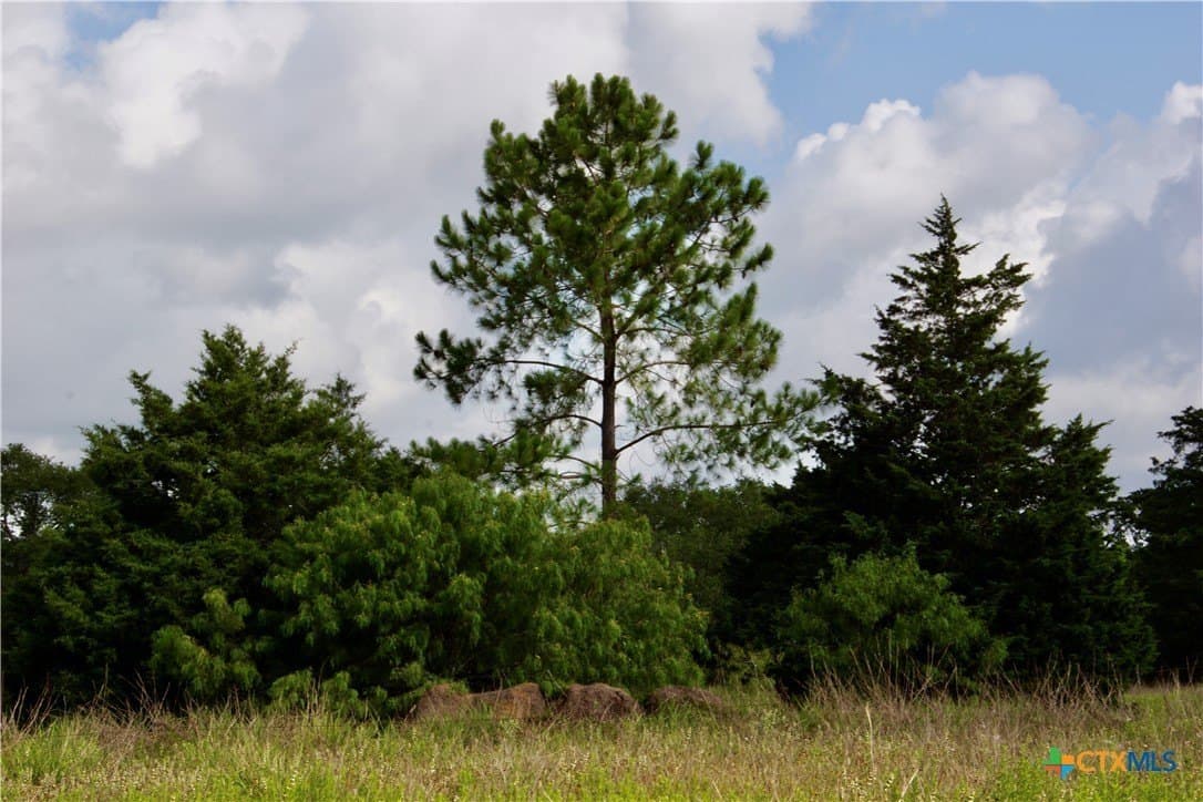 36.95 acres in Goliad County - photo 19