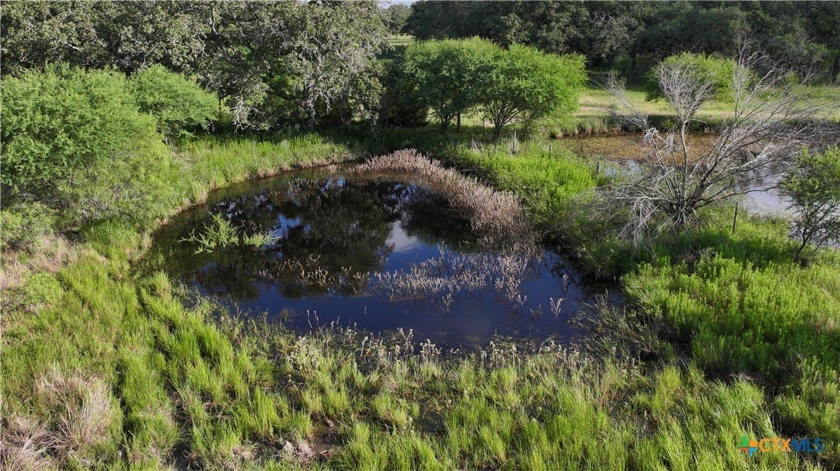 36.95 acres in Goliad County - photo 11