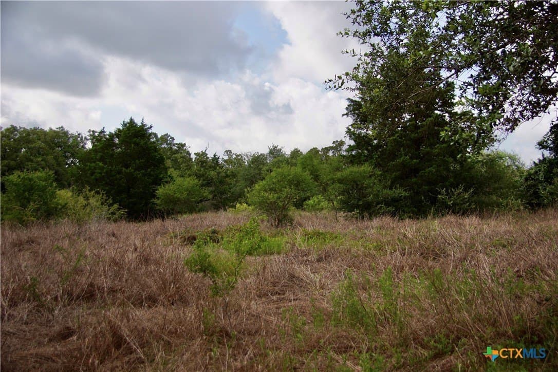 36.95 acres in Goliad County featured view