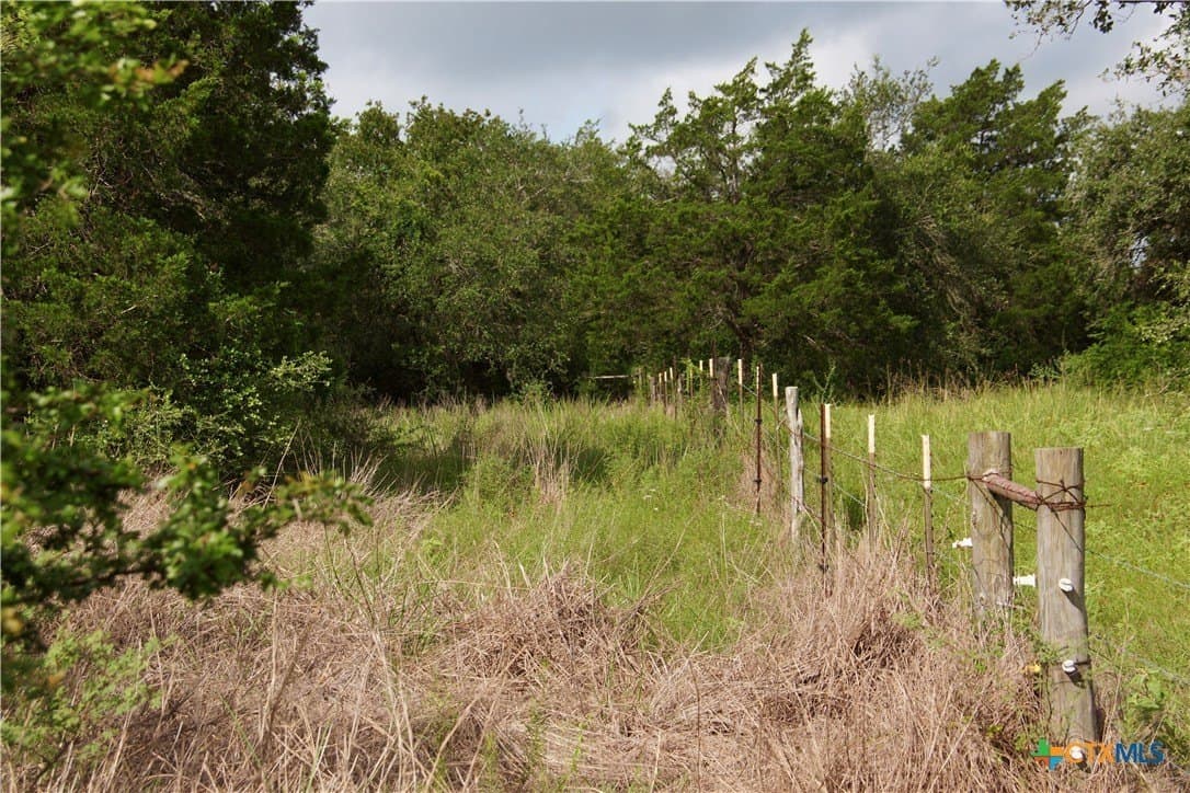 36.95 acres in Goliad County - photo 8