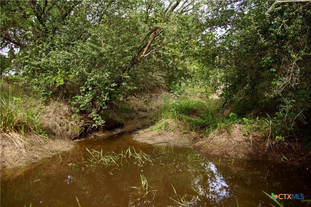 36.95 acres in Goliad County - photo 20