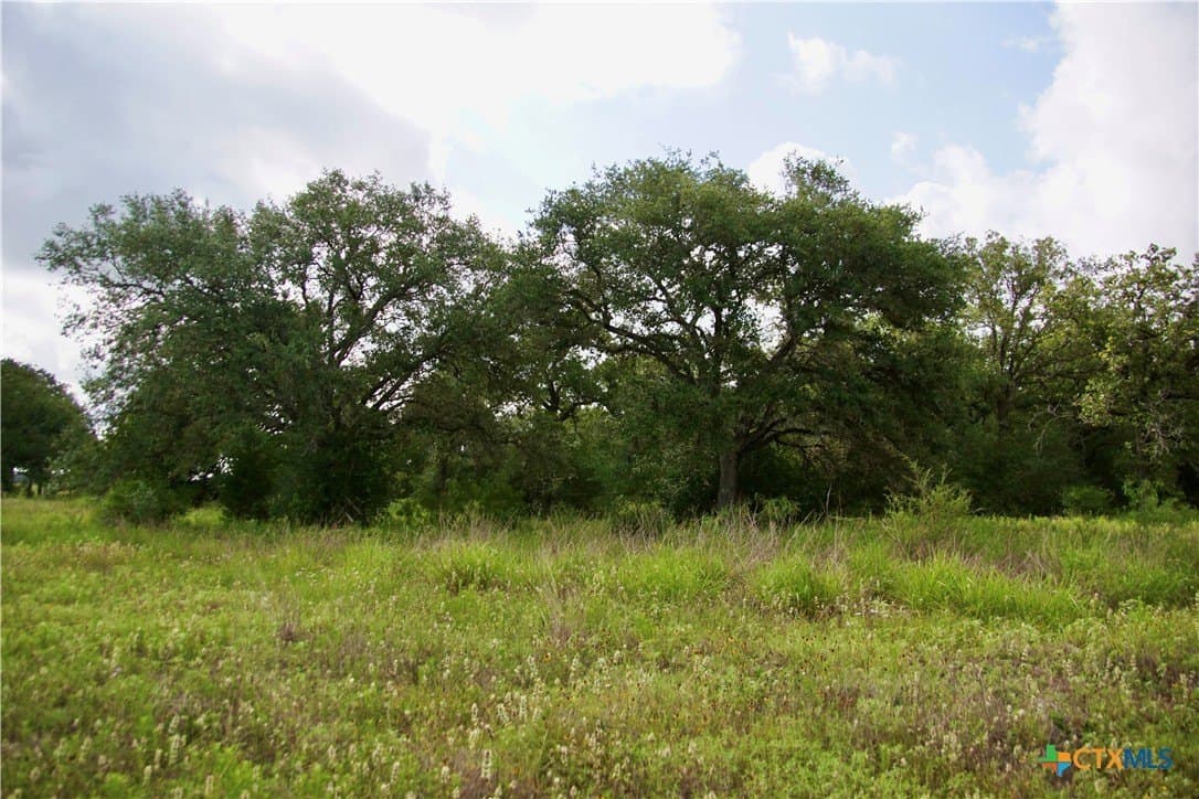 36.95 acres in Goliad County - photo 13