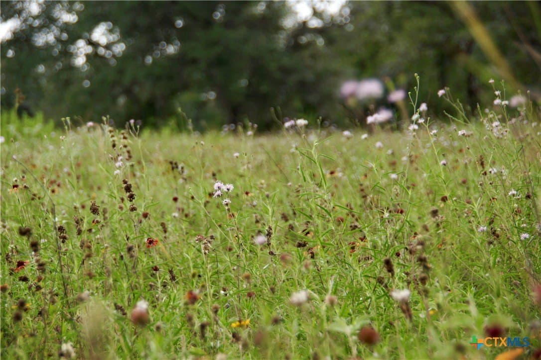 36.95 acres in Goliad County - photo 18