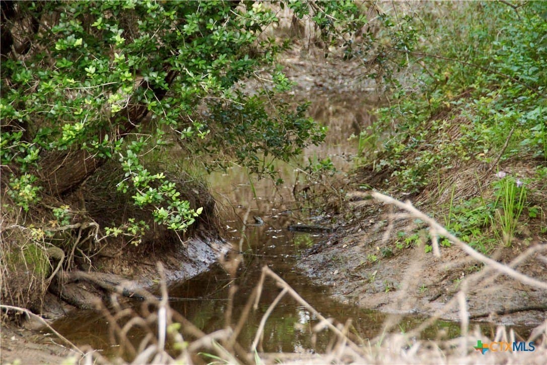 36.95 acres in Goliad County - photo 12
