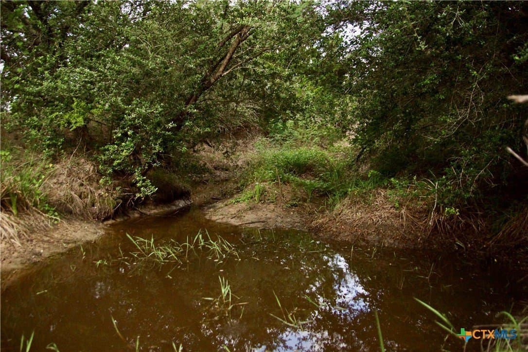 36.95 acres in Goliad County - photo 14