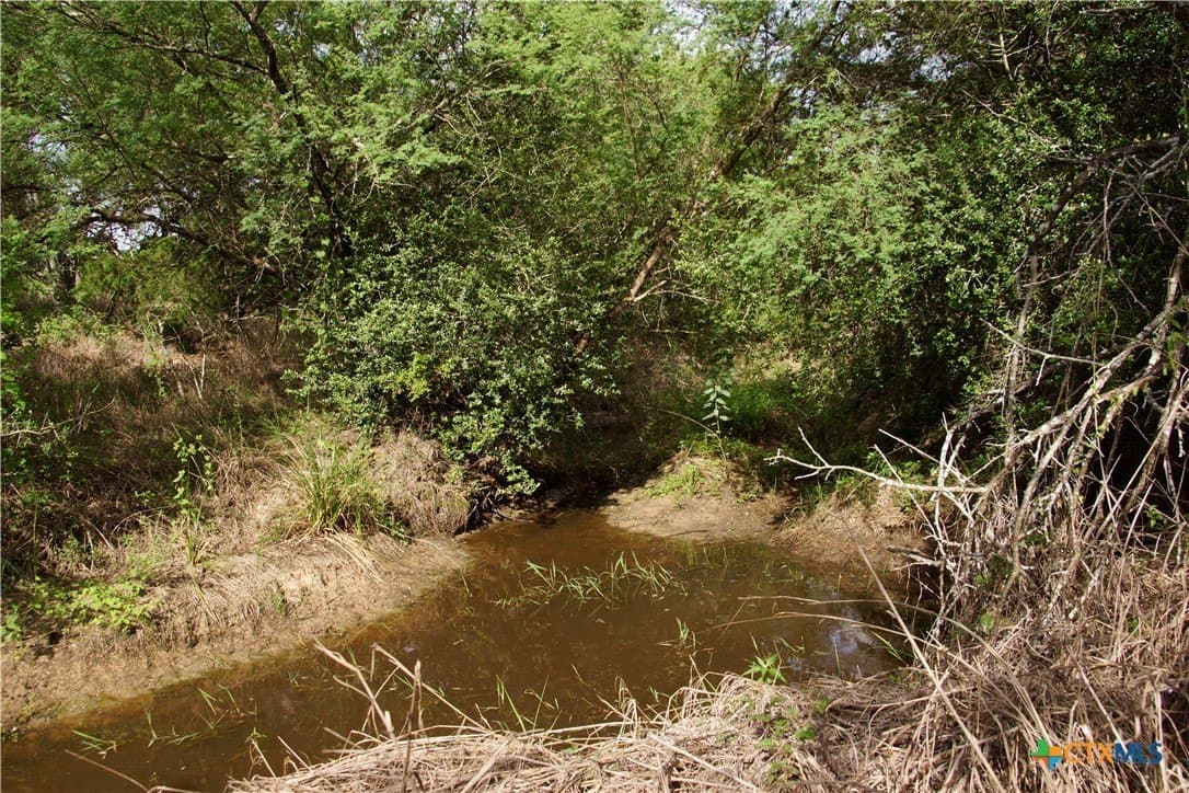 36.95 acres in Goliad County - photo 6