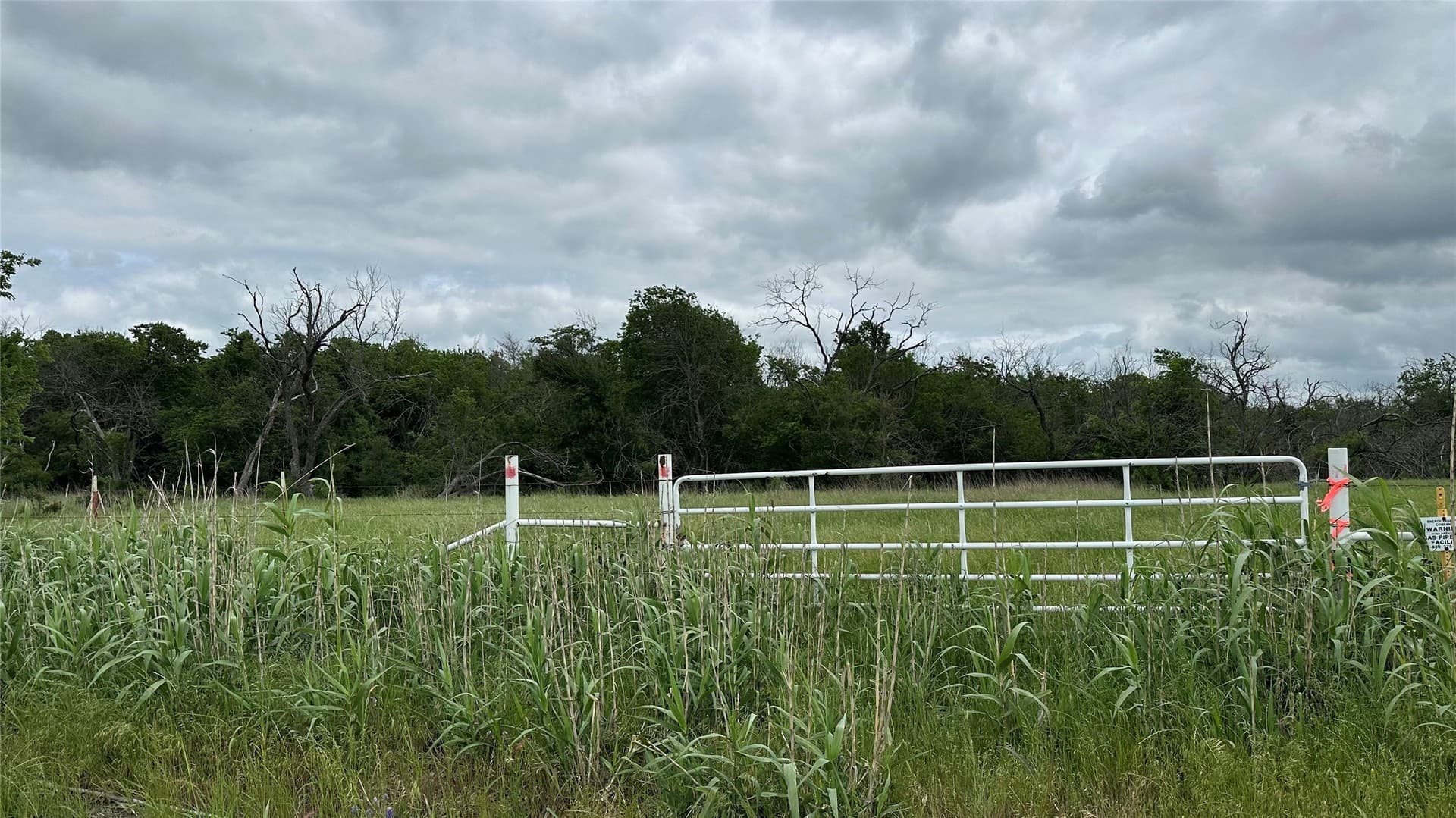 14.28 acres in Navarro County gallery image 2