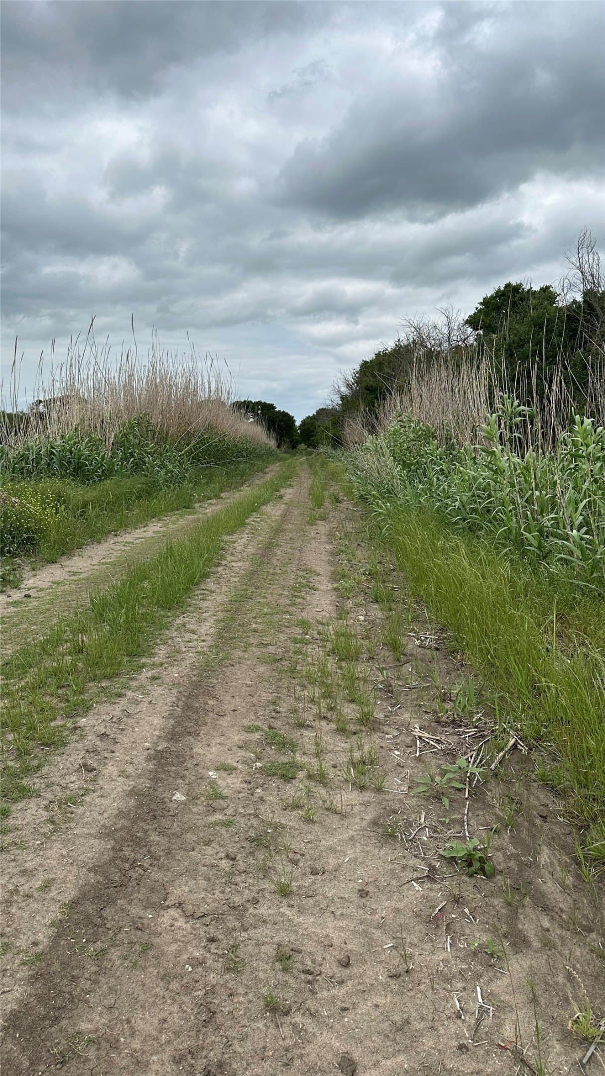 14.28 acres in Navarro County - photo 6