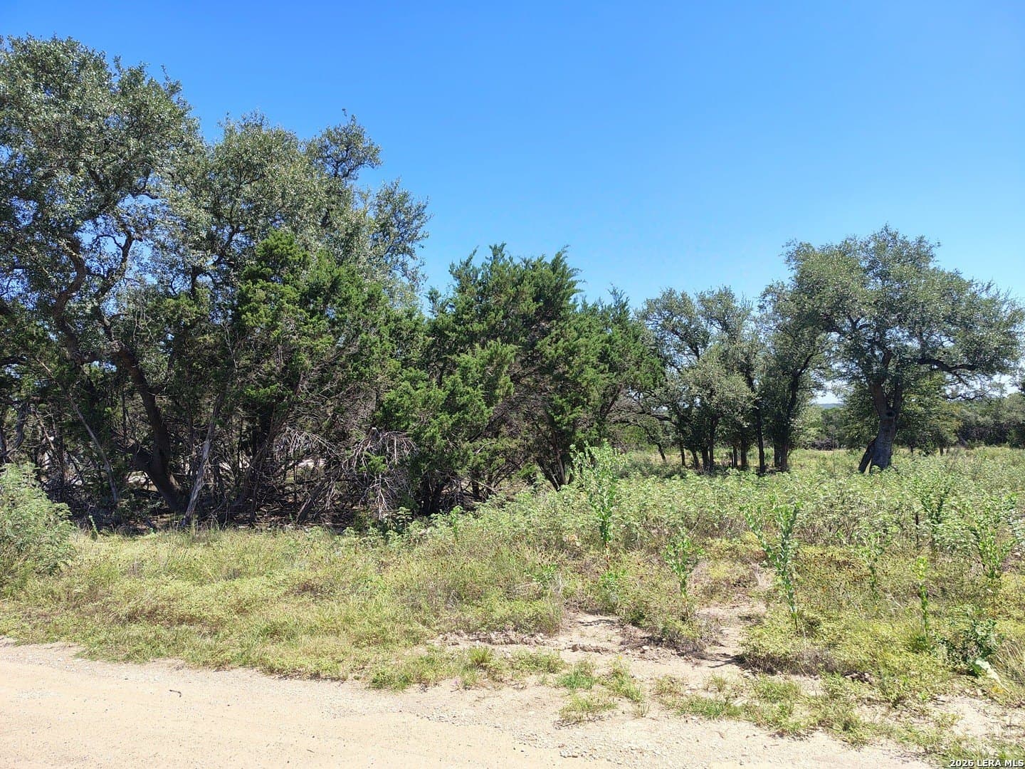2.62 acres in Kendall County gallery image 2
