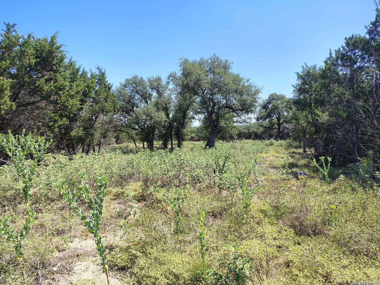 2.62 acres in Kendall County