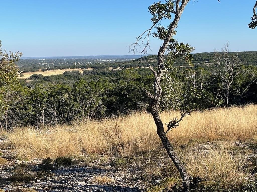 10.02 acres in Gillespie County gallery image 3