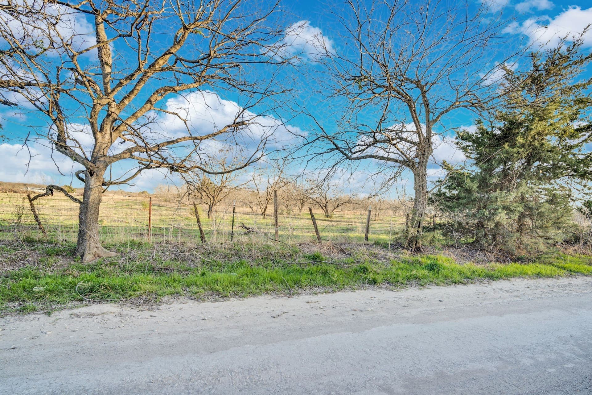 10.1 acres in Navarro County - photo 10